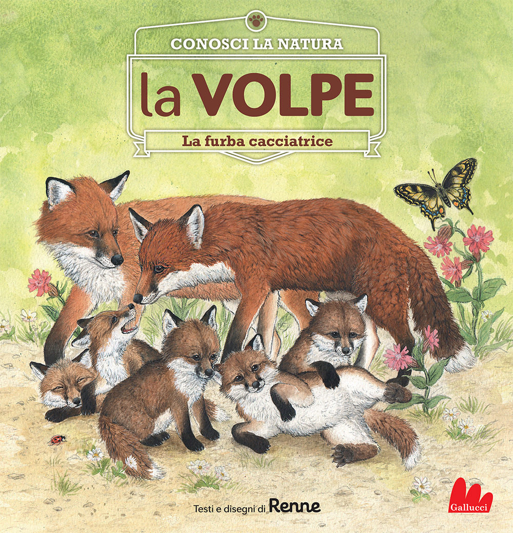 La volpe. La furba cacciatrice. Conosci la natura
