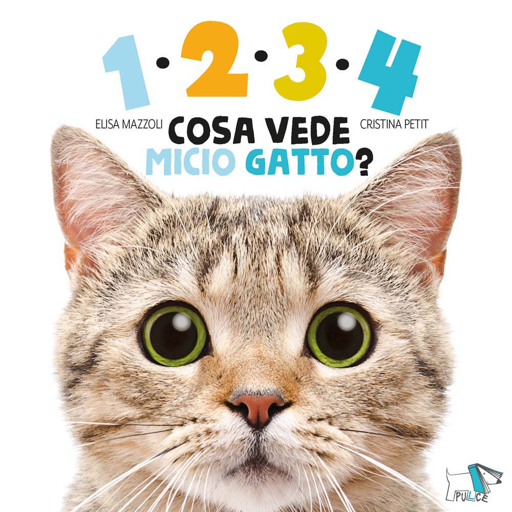 1234 cosa vede micio gatto?