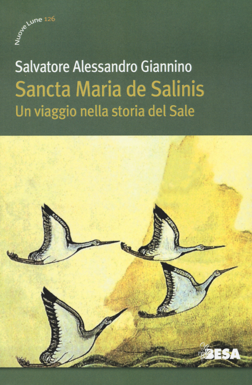 Sancta Maria de Salinis. Un viaggio nella storia del Sale