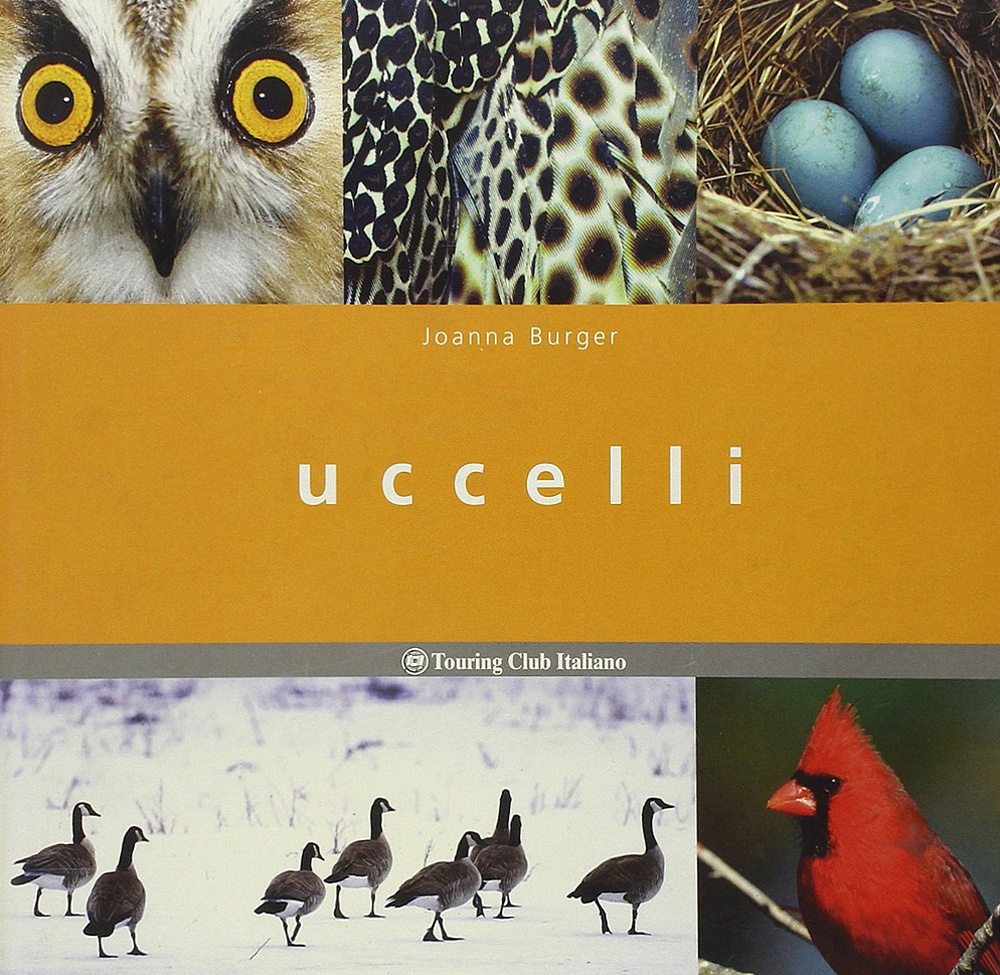 Uccelli