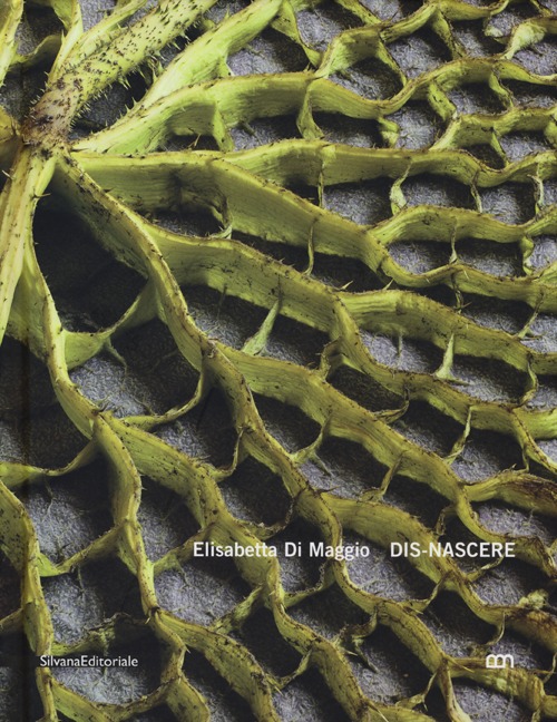 Elisabetta Di Maggio. Dis-nascere. Catalogo della mostra (Venezia, 11 ottobre-2 dicembre 2012). Ediz. italiana ed inglese