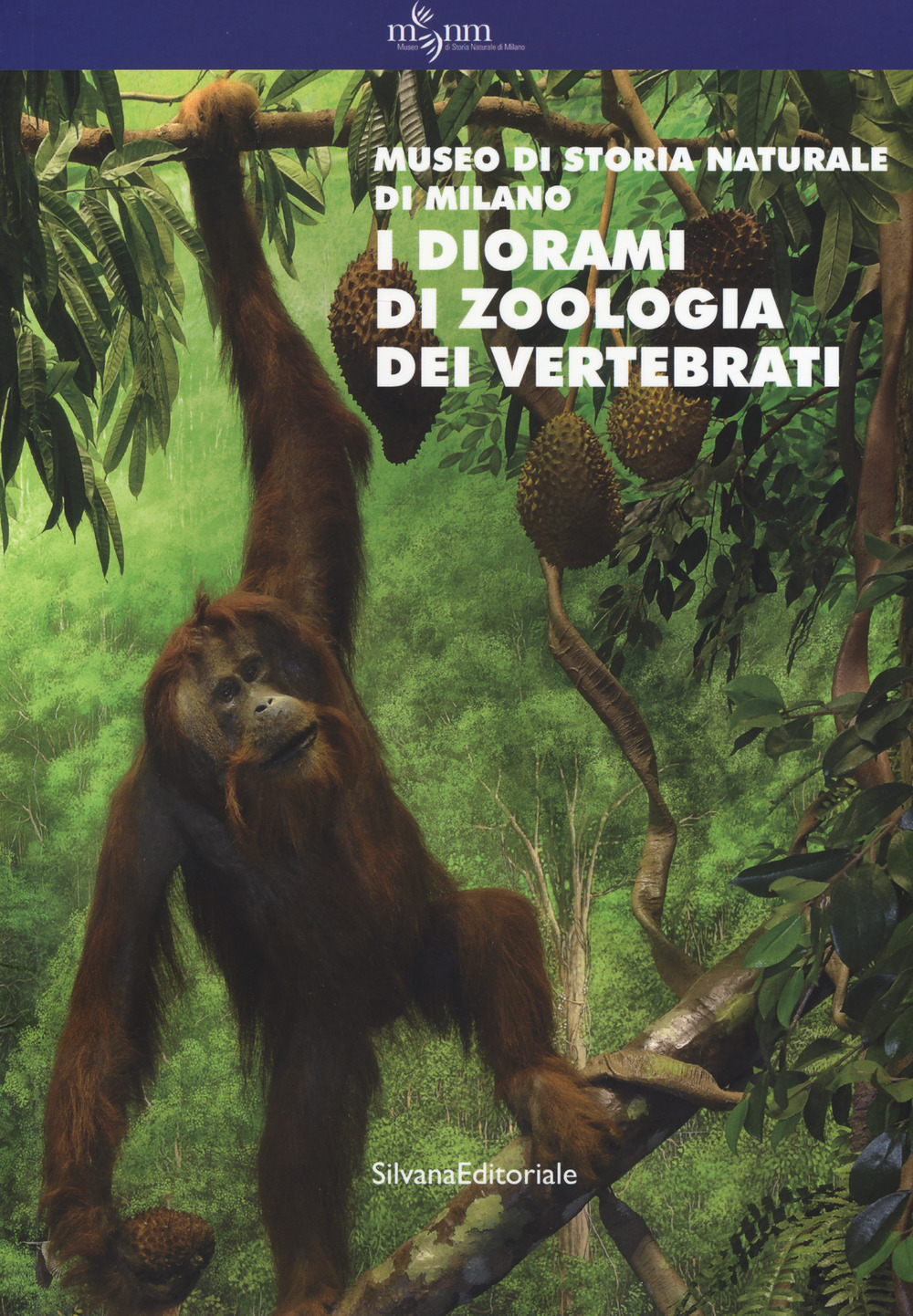I diorami di zoologia dei vertebrati. Museo di storia naturale di Milano