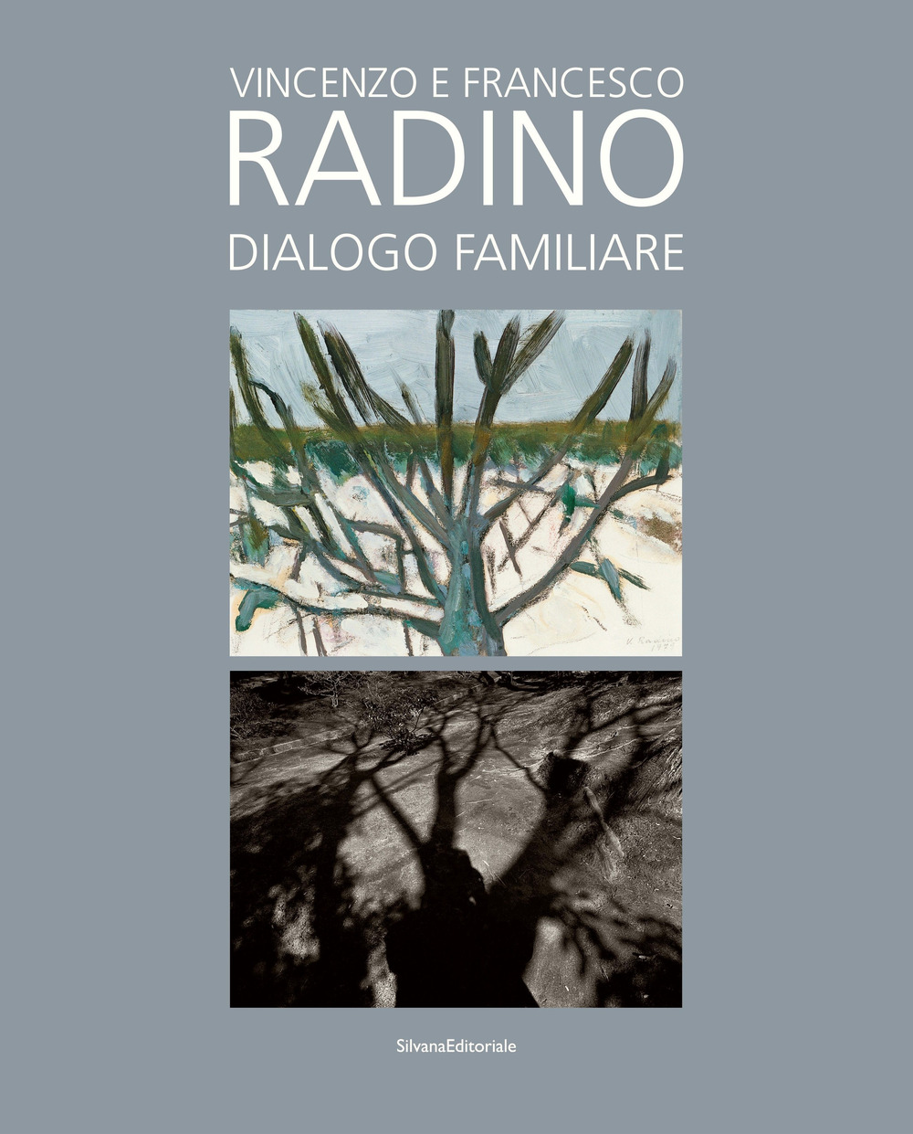 Vincenzo e Francesco Radino. Dialogo familiare