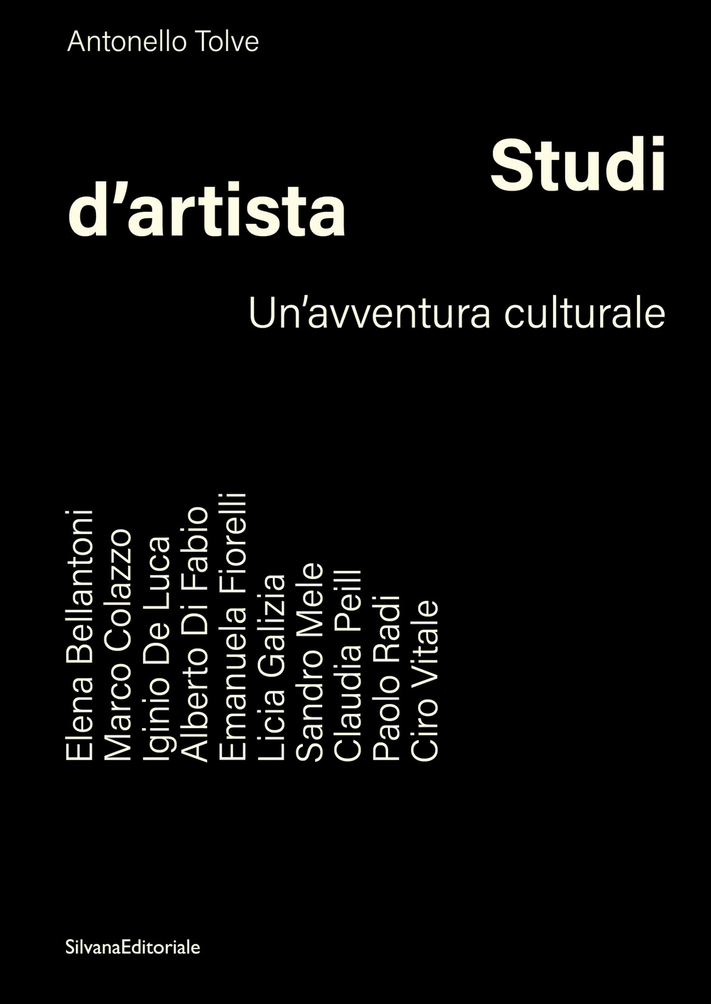 Studi d’artista. Un'avventura culturale