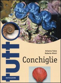 Conchiglie