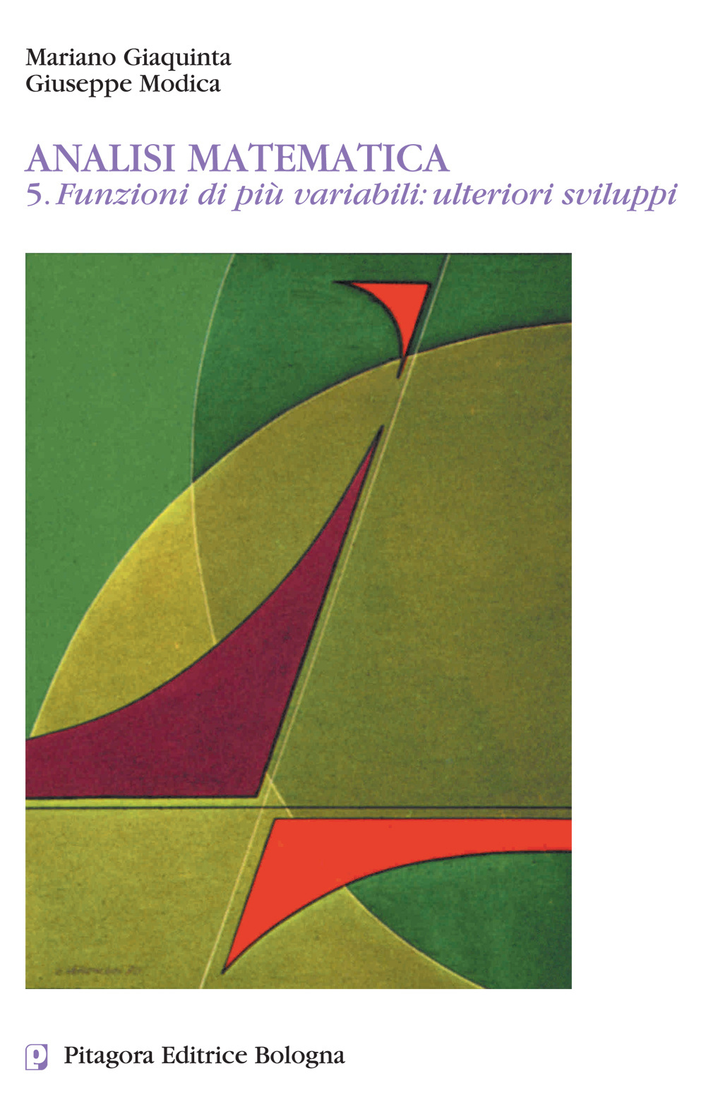 Analisi matematica. Vol. 5: Funzioni di più variabili: ulteriori sviluppi