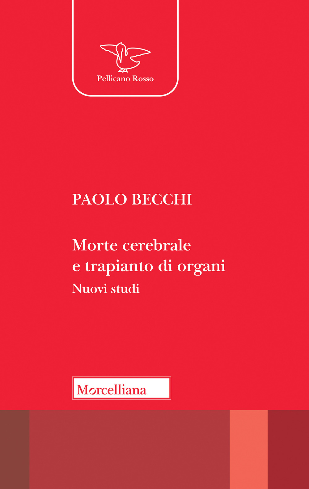 Morte cerebrale e trapianto di organi. Nuovi studi