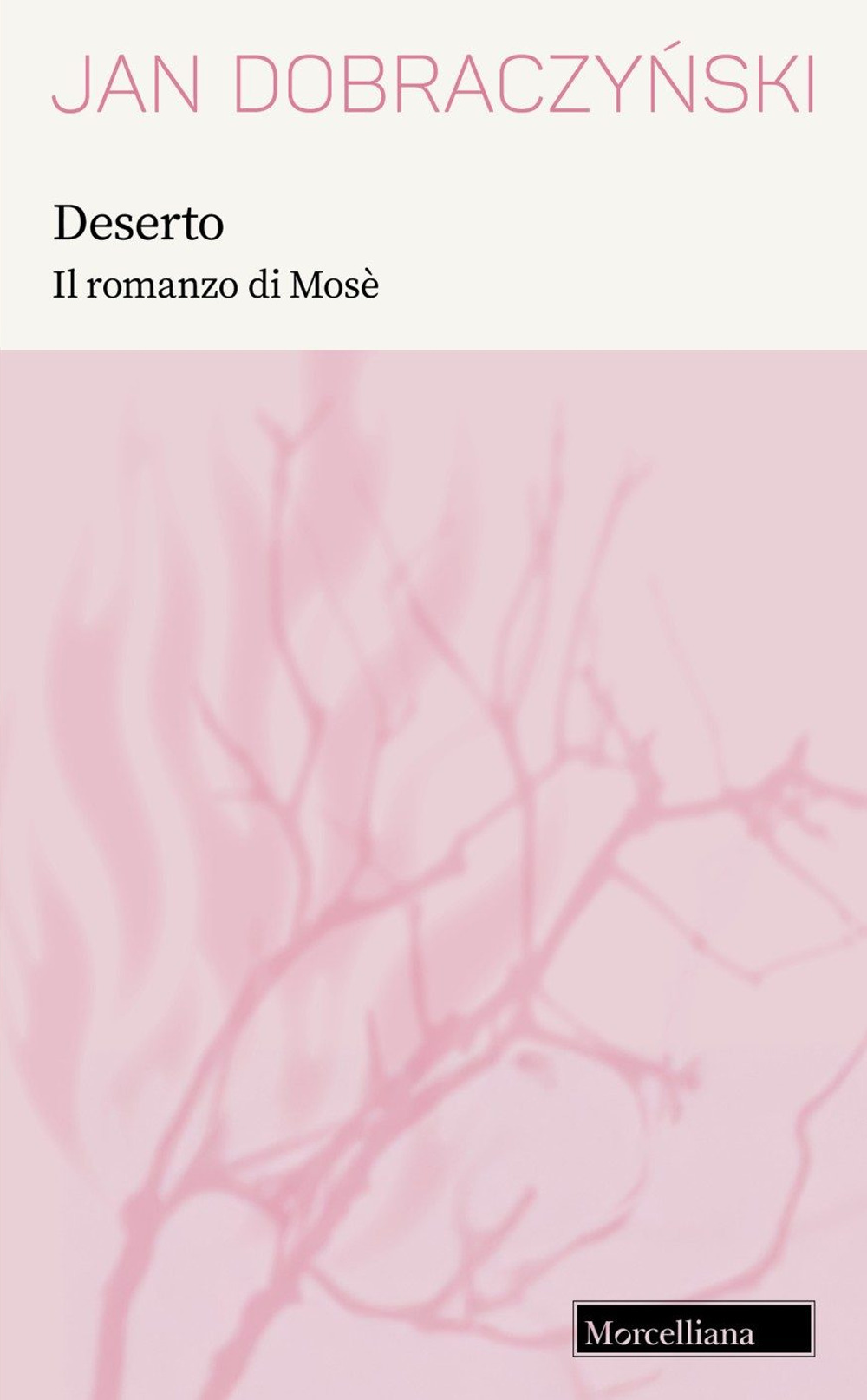 Deserto. Il romanzo di Mosè