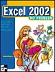 Excel 2002 no problem