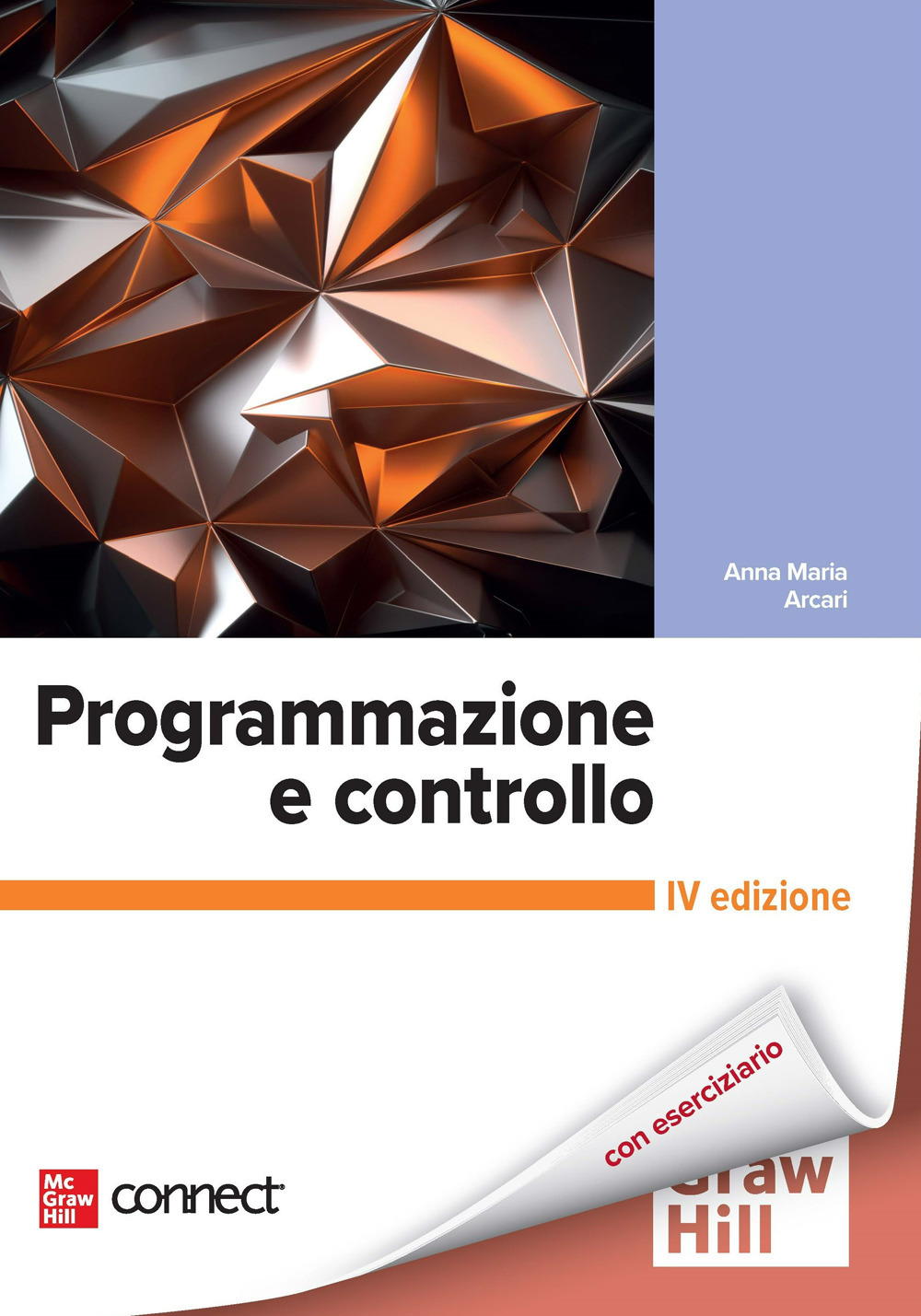 Programmazione e controllo