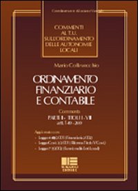 Ordinamento finanziario e contabile