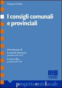 I consigli comunali e provinciali