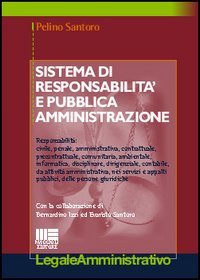 Sistema di responsabilità e pubblica amministrazione