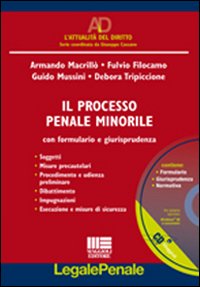 Il processo penale minorile
