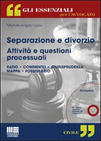 Separazione e divorzio. Attività e questioni processuali