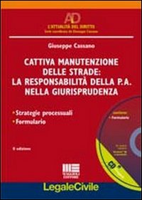 Cattiva manutenzione delle strade: la responsabilità della P.A. nella giurisprudenza