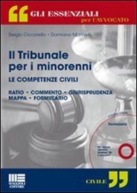 Il tribunale per i minorenni. Le competenze civili