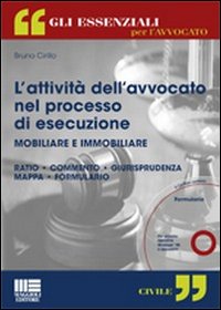 L'attività dell'avvocato nel processo di esecuzione mobiliare e immobiliare