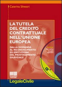 La tutela del credito contrattuale nell'Unione Europea. Dalla domanda al riconoscimento ed esecuzione del provvedimento giudiziale
