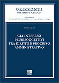 Gli interessi plurisoggettivi tra diritto e processo amministrativo