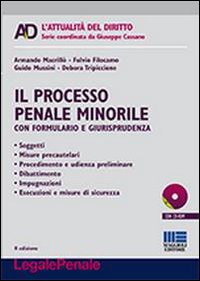 Il processo penale minorile