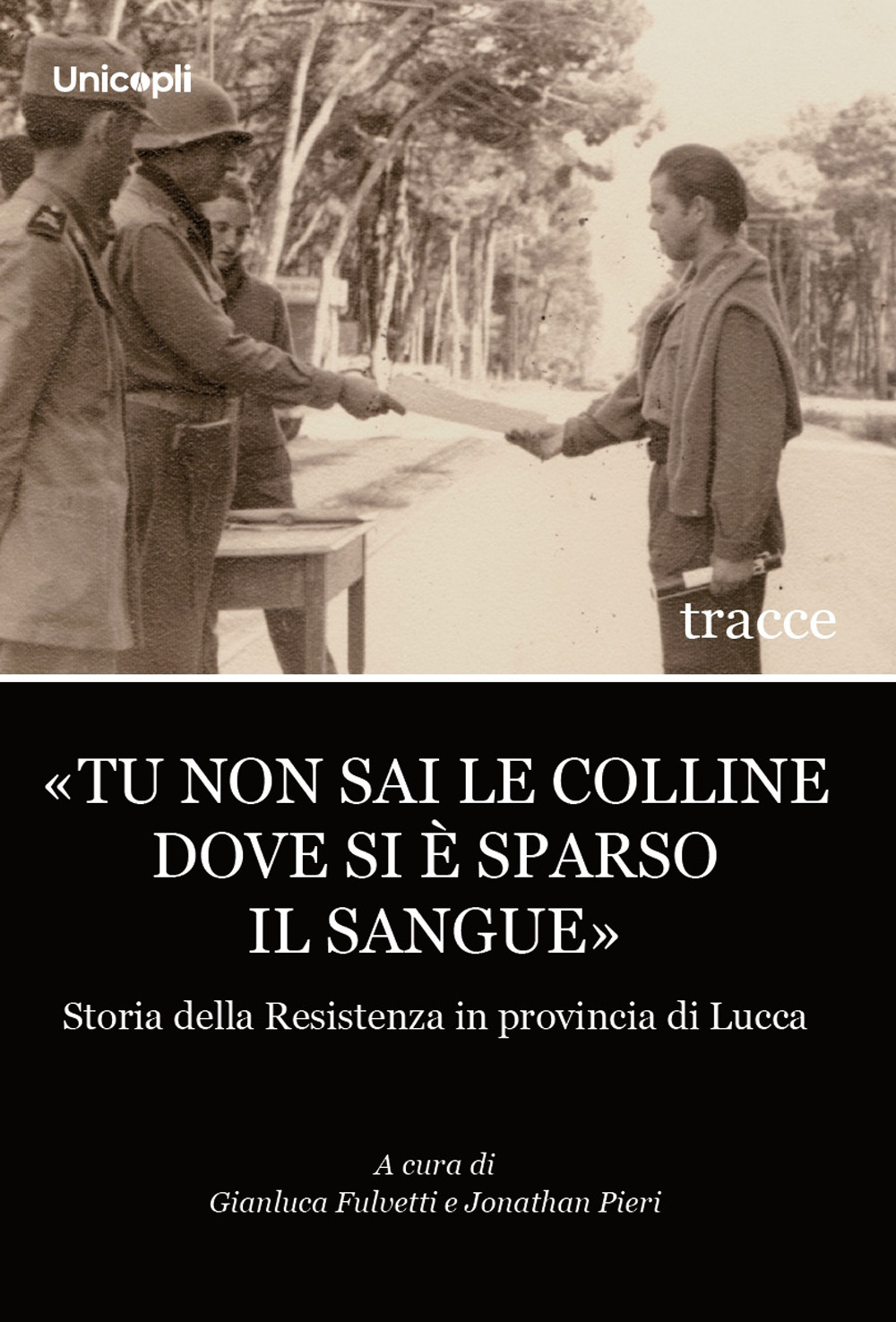 «Tu non sai le colline dove si è sparso il sangue». Storia della Resistenza in provincia di Lucca