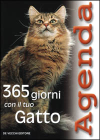 Trecentosessantacinque giorni con il tuo gatto
