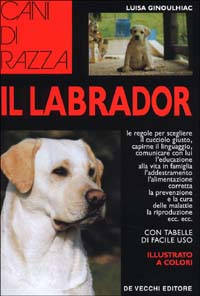 Labrador