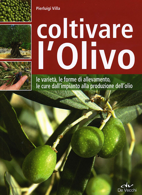 Coltivare l'olivo. Dall'impianto alla produzione dell'olio