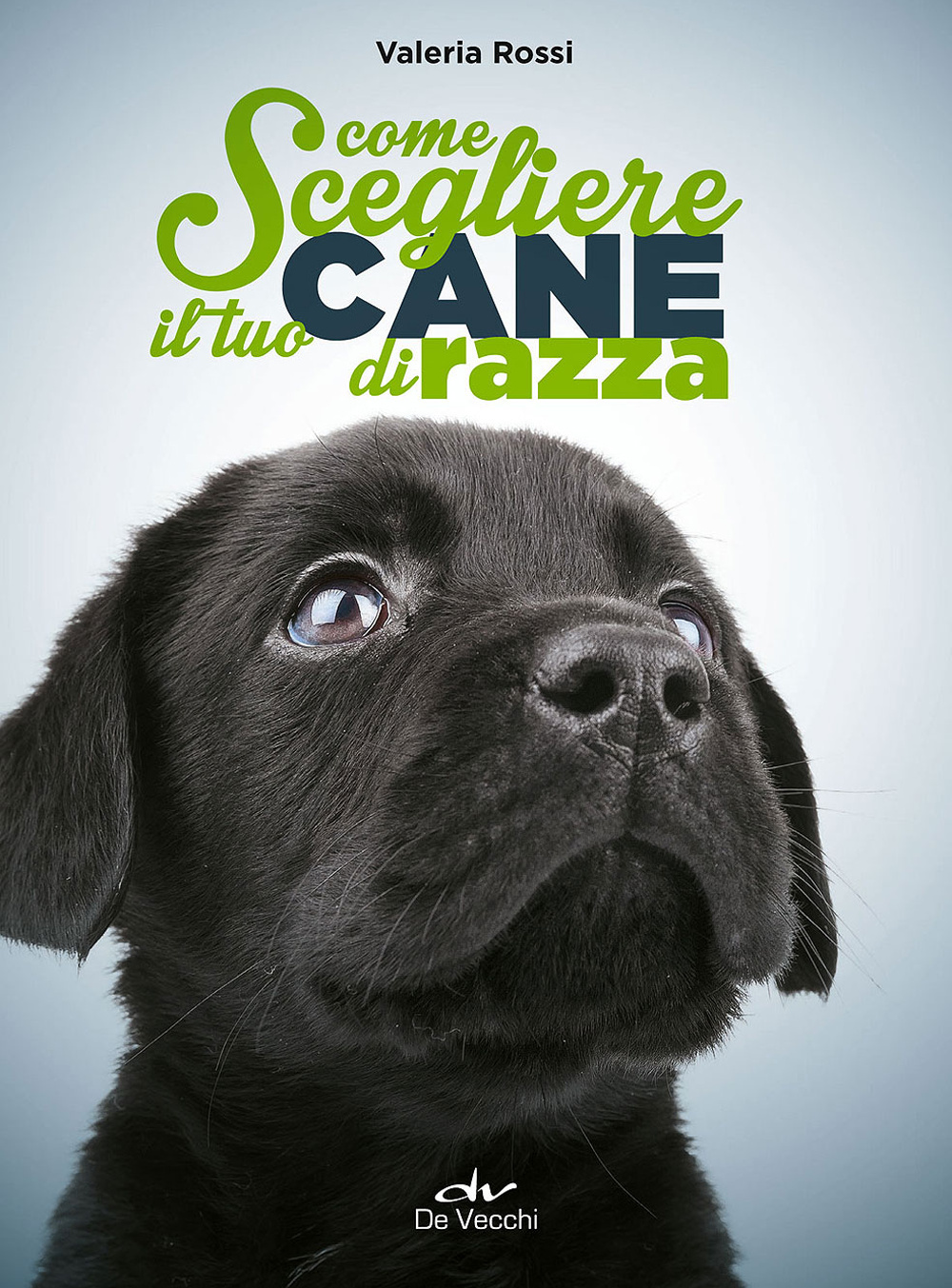 Come scegliere il tuo cane di razza