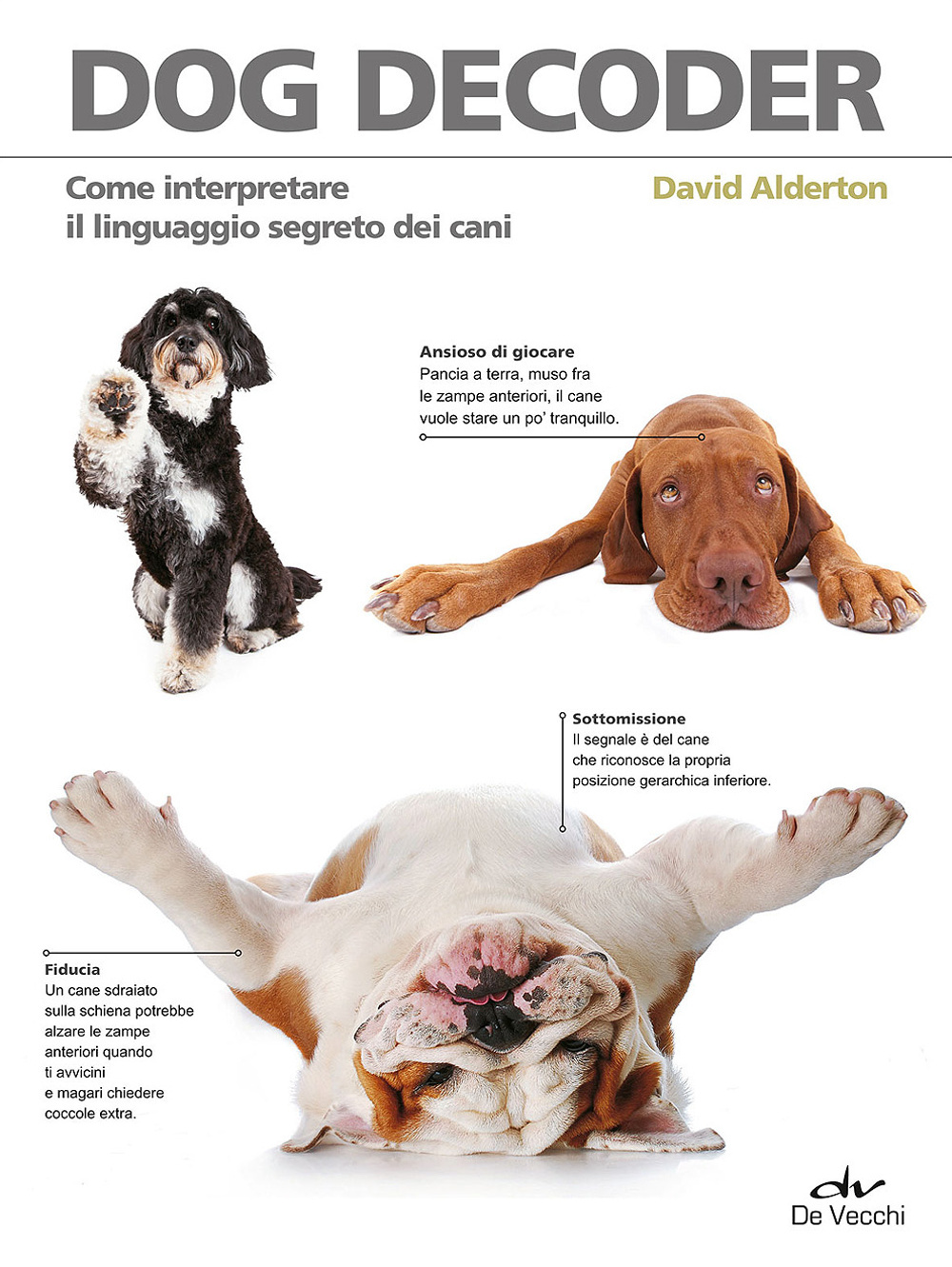 Dog decoder. Come interpretare il linguaggio segreto dei cani