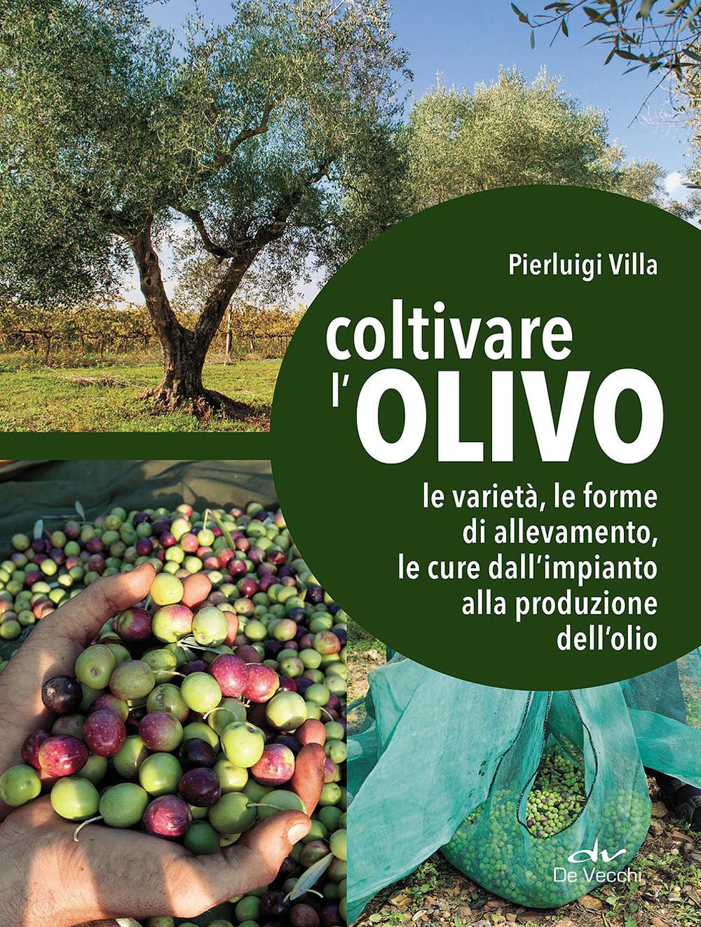 Coltivare l'olivo. Dall'impianto alla produzione dell'olio