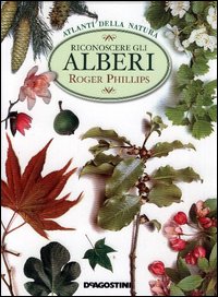 Riconoscere gli alberi