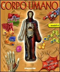 Il corpo umano