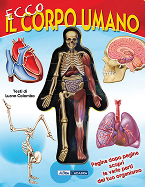 Ecco il corpo umano