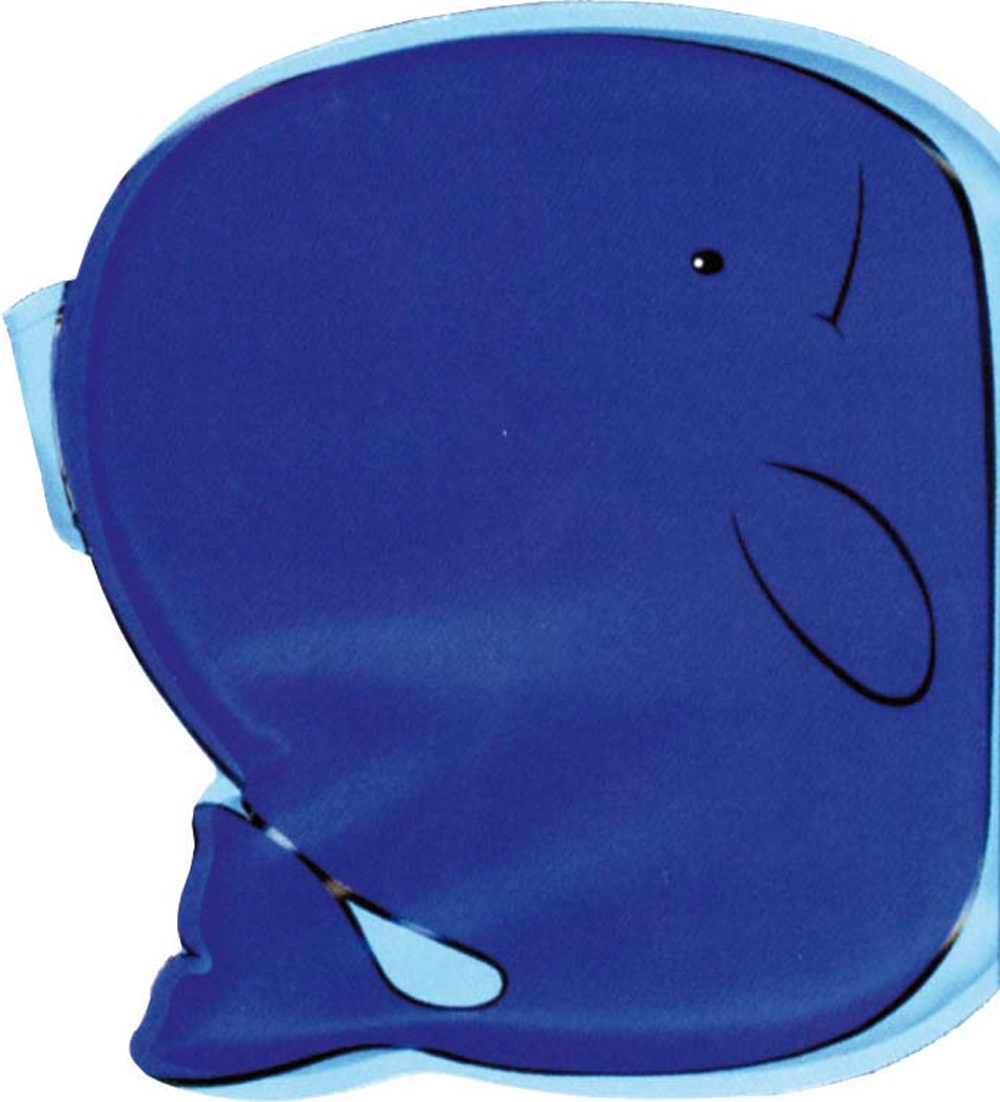 La balena tra le onde