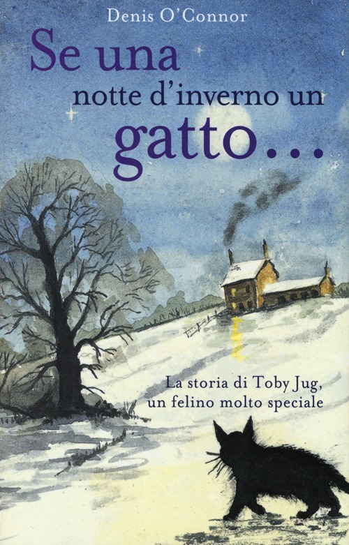 Se una notte d'inverno un gatto...