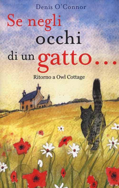 Se negli occhi di un gatto... Ritorno a Owl Cottage