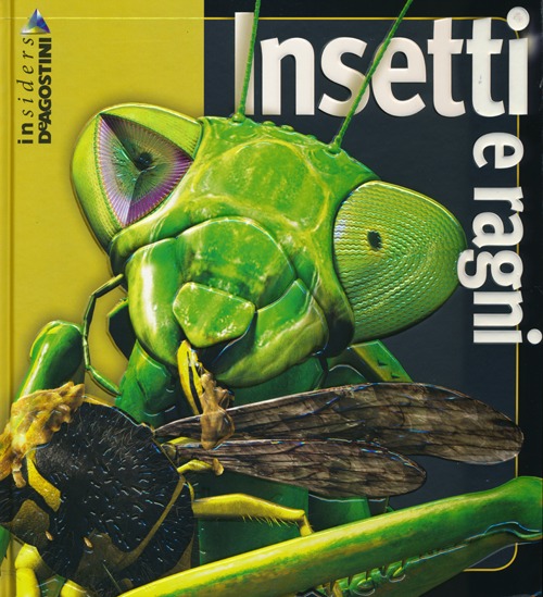 Insetti e ragni