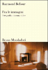 Fra le immagini. Fotografia, cinema, video