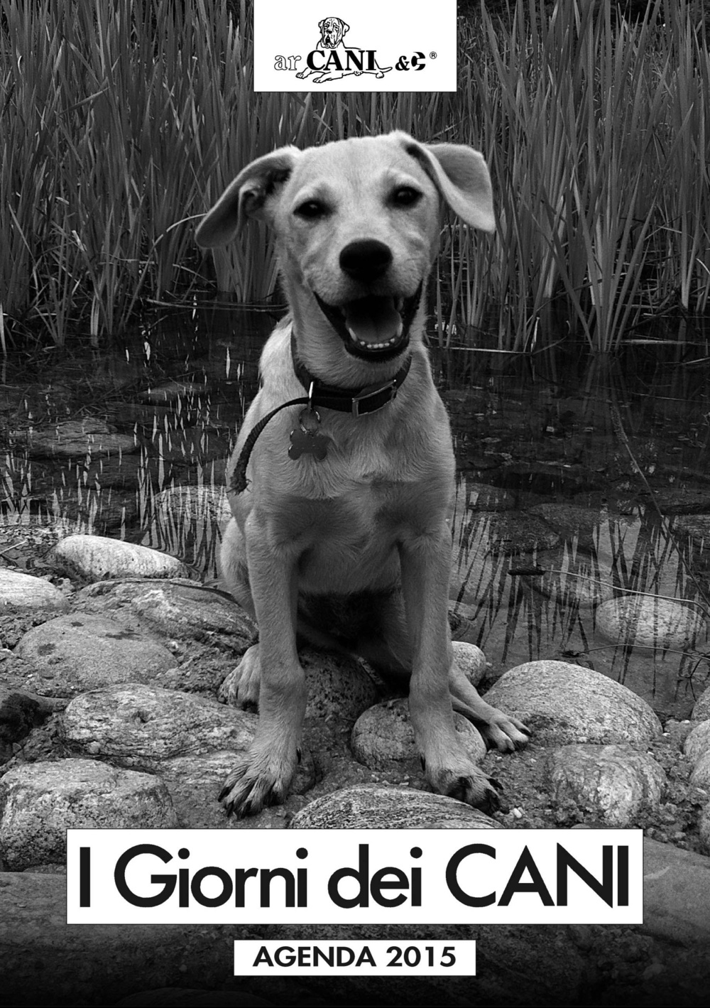 I giorni dei cani. Agenda 2015