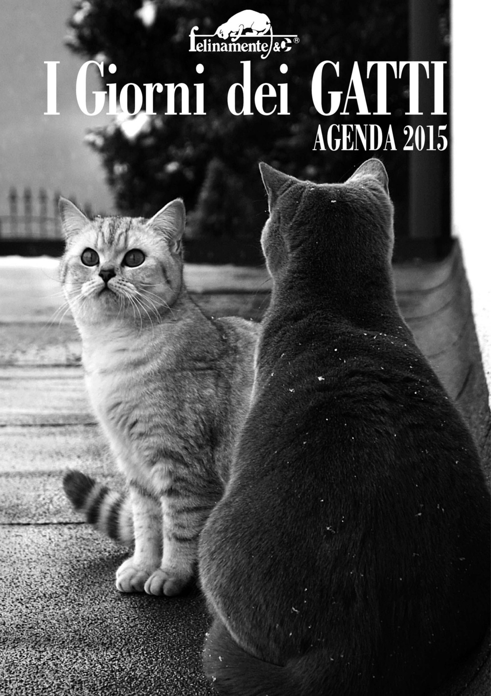 I giorni dei gatti. Agenda 2015