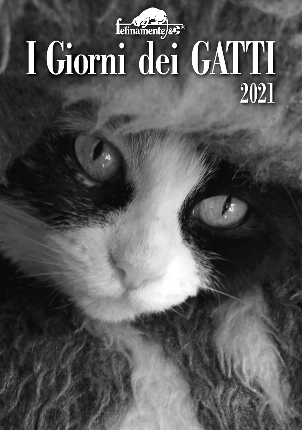 I giorni dei gatti. Agenda 2021
