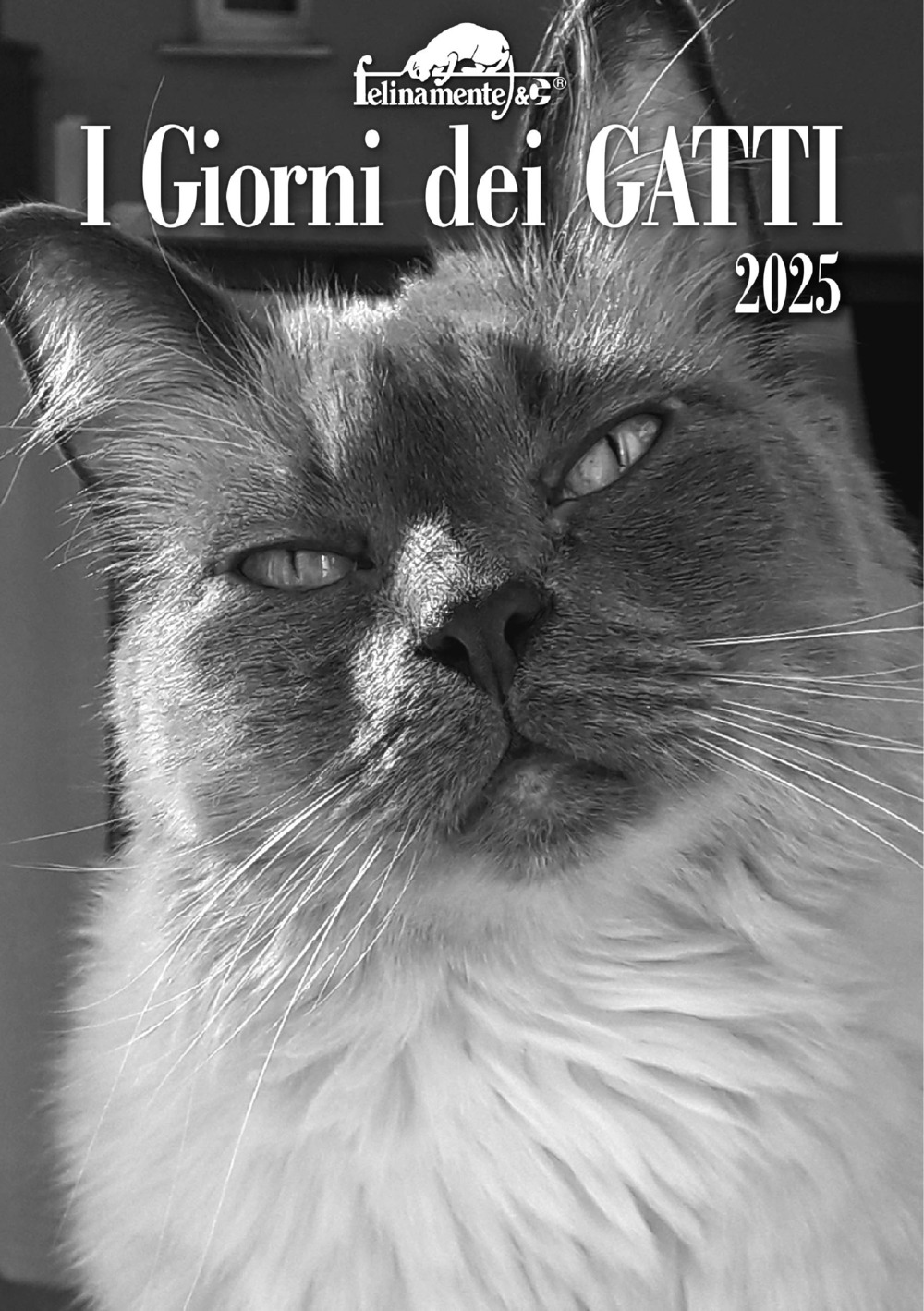 I giorni dei gatti. Agenda 2025