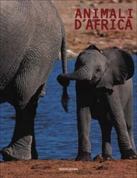 Animali d'Africa
