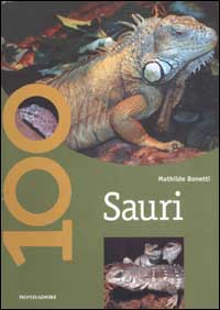 Sauri