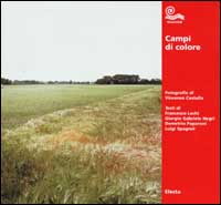Campi di colore
