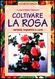 Coltivare la rosa. Varietà, impianto e cura