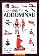L'arte degli addominali