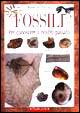Fossili. Per conoscere il nostro passato